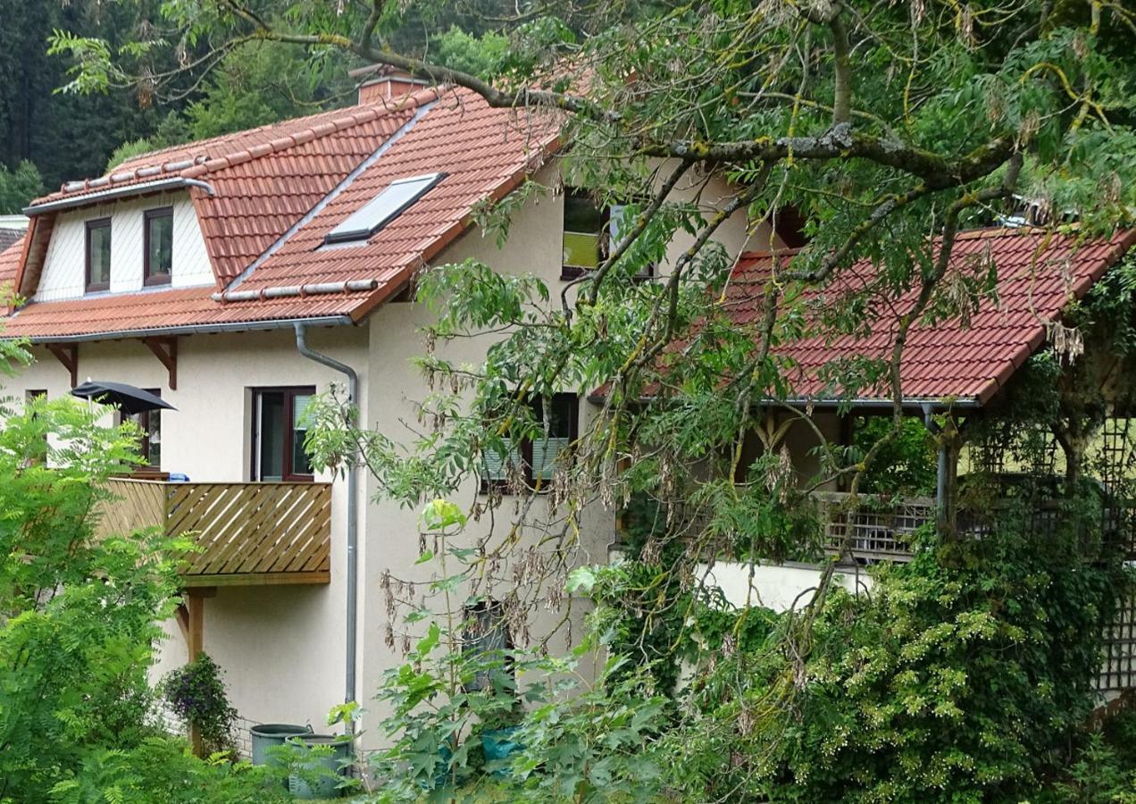 Ferienwohnung Am Berggrabenweg Ilmenau Eksteriør billede